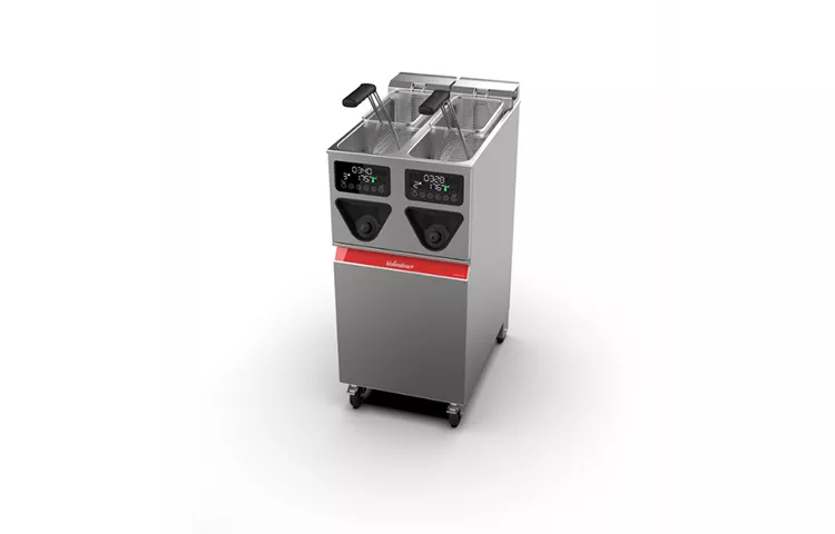 Professional Fryer